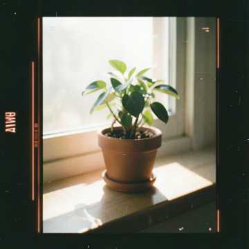 骨缝里的红豆