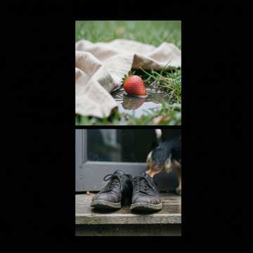 雨把野餐带走-版本2