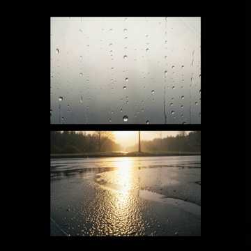 The Morning After the Rain