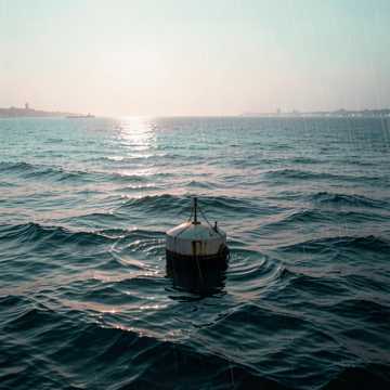 人海浮木