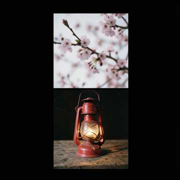 万户春光