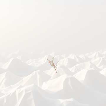 纸巾淹城记