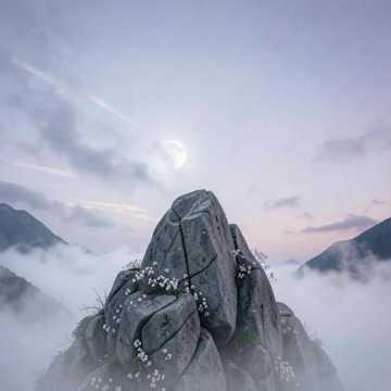 风过山还在