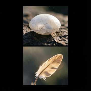 破茧之声