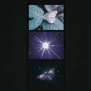 蝴蝶10-版本2