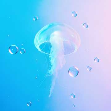 水母光