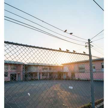 心跳破晓