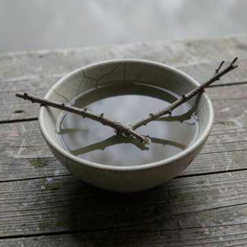 忘了江湖