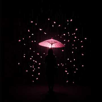 梧桐雨伞柄