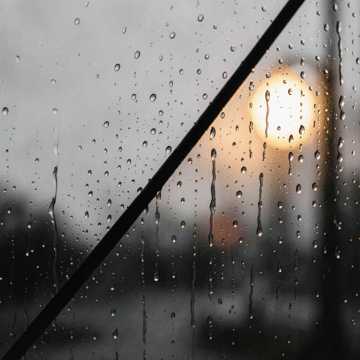 旧车票夹进书页-版本2