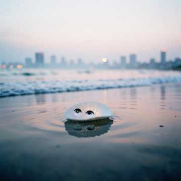 大海的沙