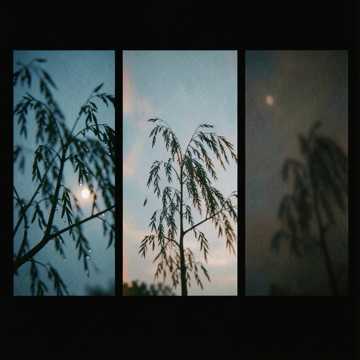 羽畔迟归