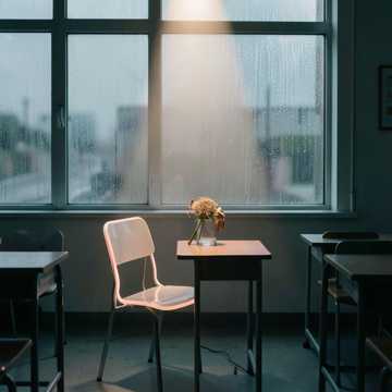 苏晓东的决定-版本2