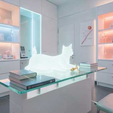 兽医撸猫许可证