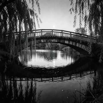 Moon Over Willow Bridge