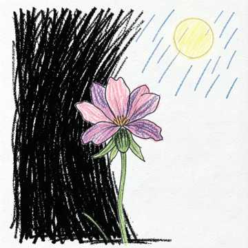 落花自问无人答