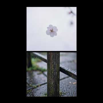 一枕相思-版本2