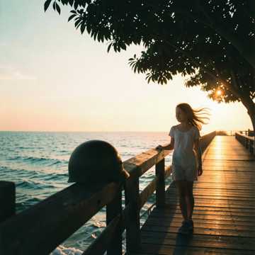 《夏天的回望》