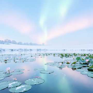 四季移景·花鹤雪塘