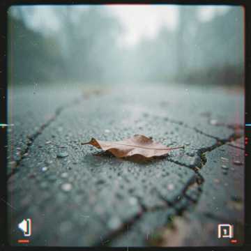 做自己的光-版本2