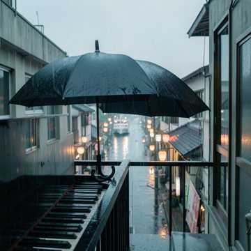 《雨夜最后那班渡轮》