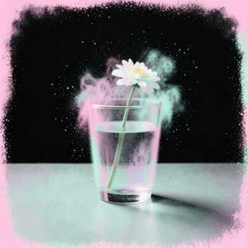 Crystal Cup Morning