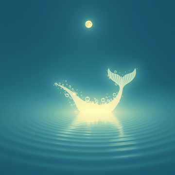 Sea Foam Heart
