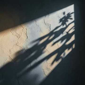Shadows on the Wall