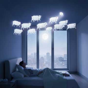 数错羊的夜晚
