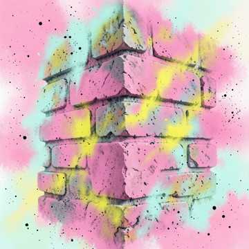 我拿青春给你随了份子
