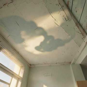 云影掠过