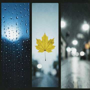 品牌上扬-版本2