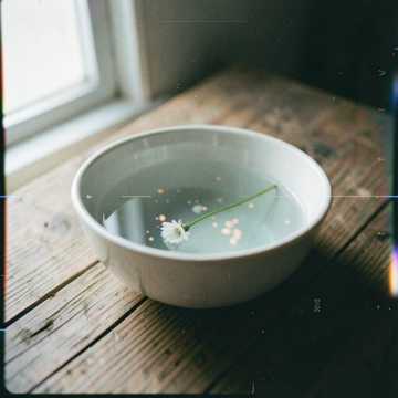 小鸭泡泡歌