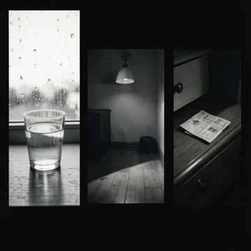 小狗木木-版本2