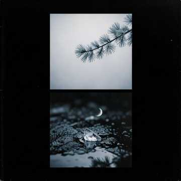 寒江雪