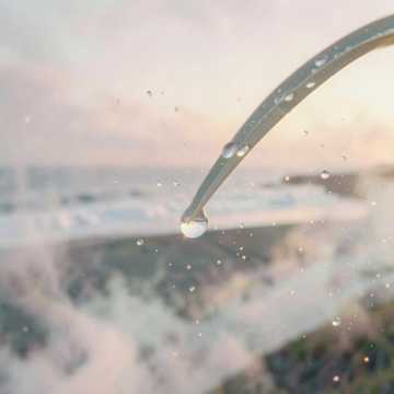 露水的骨头