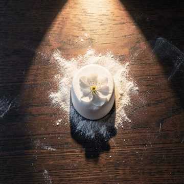 燕园雪