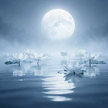 水性杨花