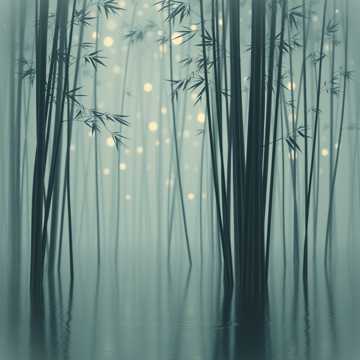 竹影回环（1.7）
