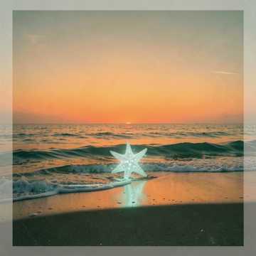 退潮的星光