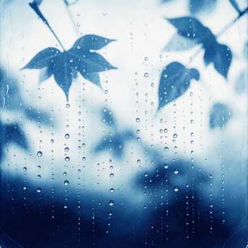 雨窗远行-版本2