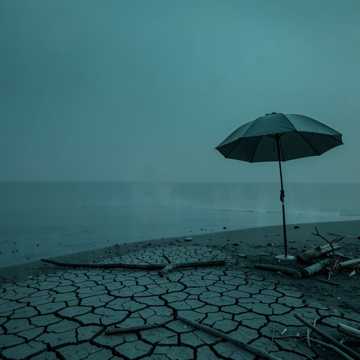 干涸的海