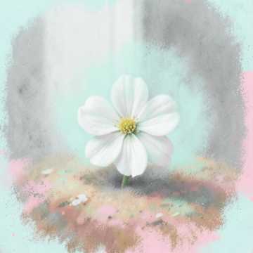 生日快乐，我的家-版本2