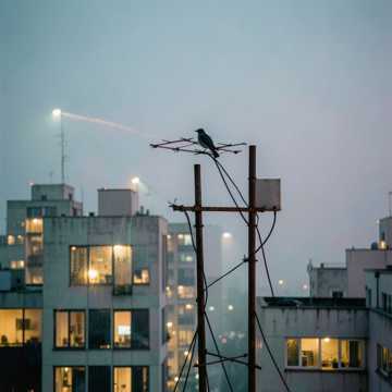 觅光者-版本2