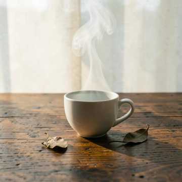 纸窗茶香