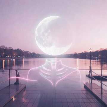 她的锁骨住着月光
