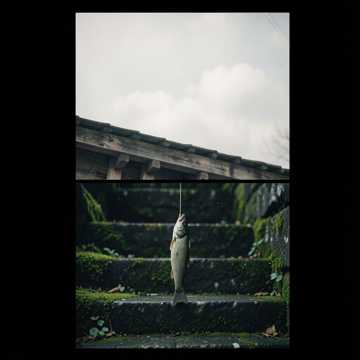 也无风雨也无晴-版本2