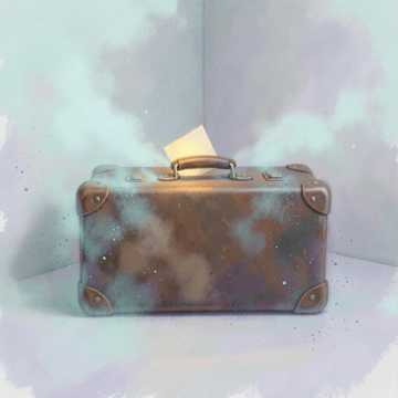 The Suitcase
