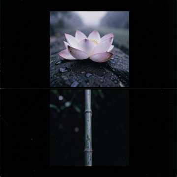 错遇-版本2