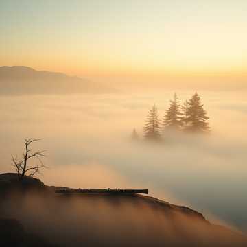 鹰啸远山